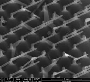 SEM image of nanowire array