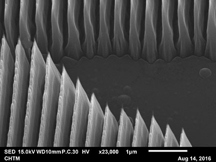 SEM image of nanogratings magnified 23,000X